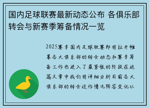 国内足球联赛最新动态公布 各俱乐部转会与新赛季筹备情况一览