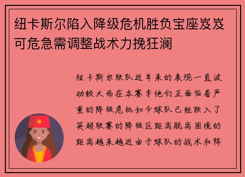 纽卡斯尔陷入降级危机胜负宝座岌岌可危急需调整战术力挽狂澜