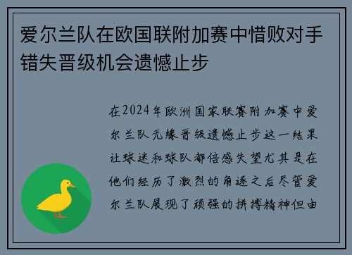 爱尔兰队在欧国联附加赛中惜败对手错失晋级机会遗憾止步