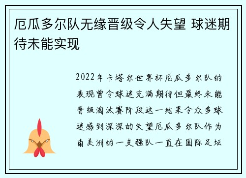 厄瓜多尔队无缘晋级令人失望 球迷期待未能实现